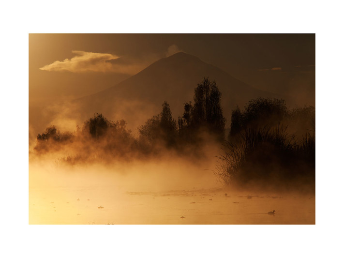 Humedal y Popocatépetl © Claudio Contreras Koob