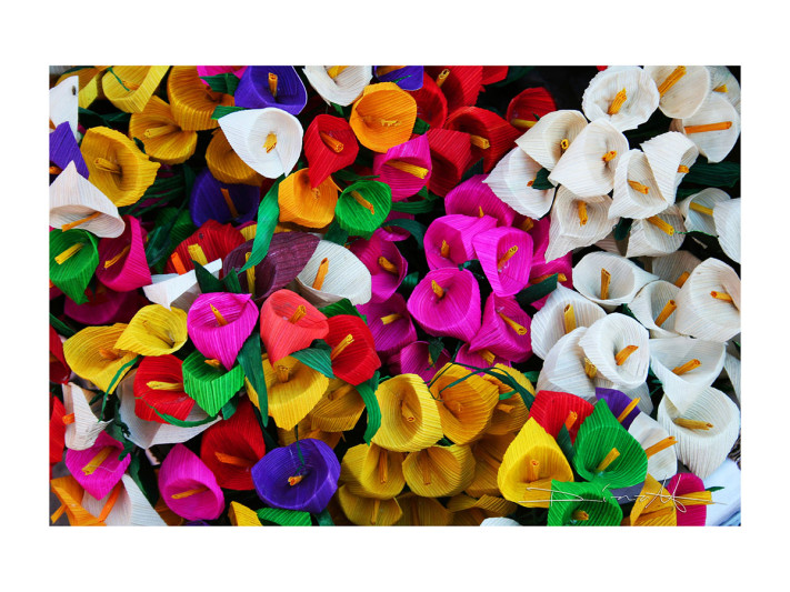 Flores de hoja de maíz © Diana Archundia Aranda